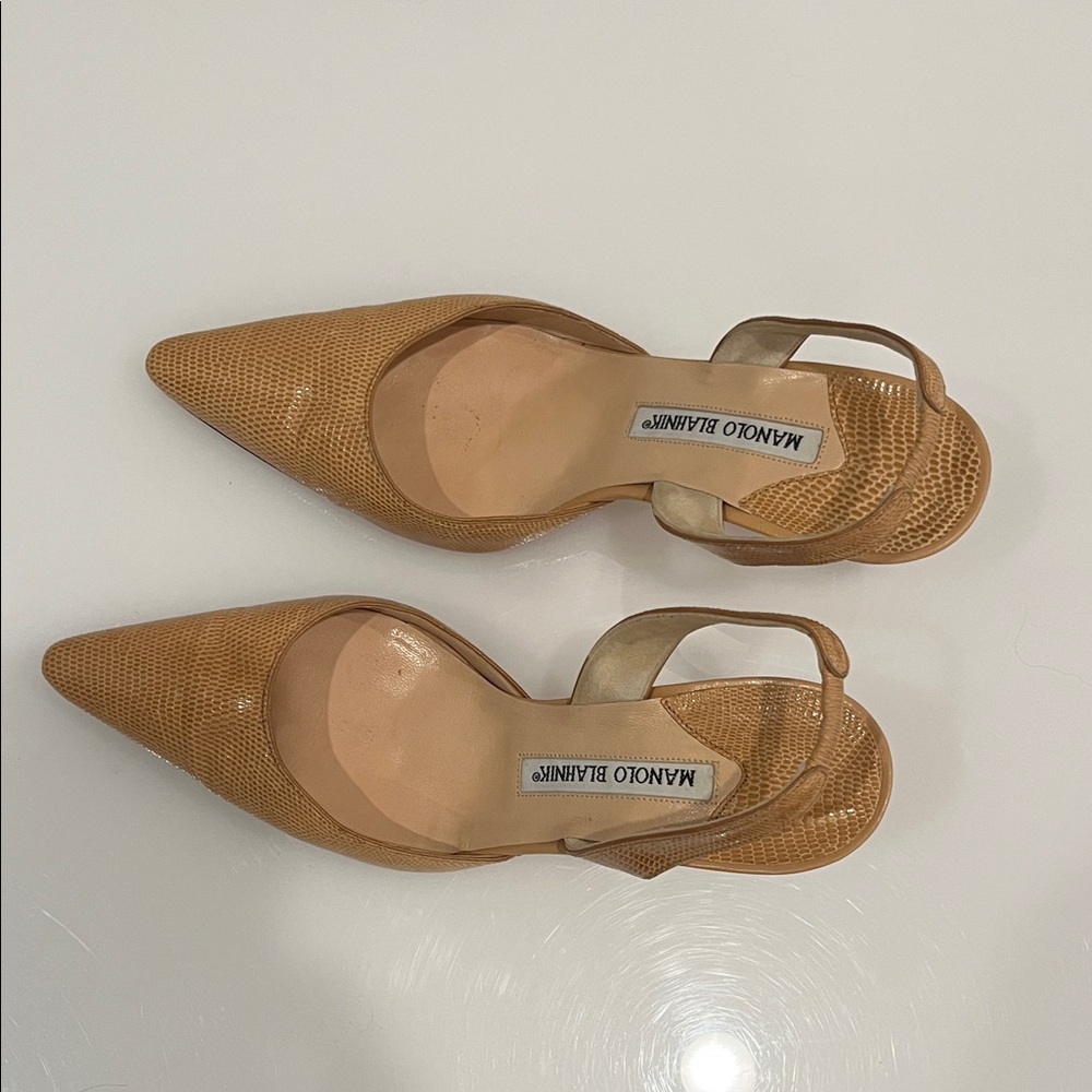 Manolo Blahnik tan snakeskin slingback Heels